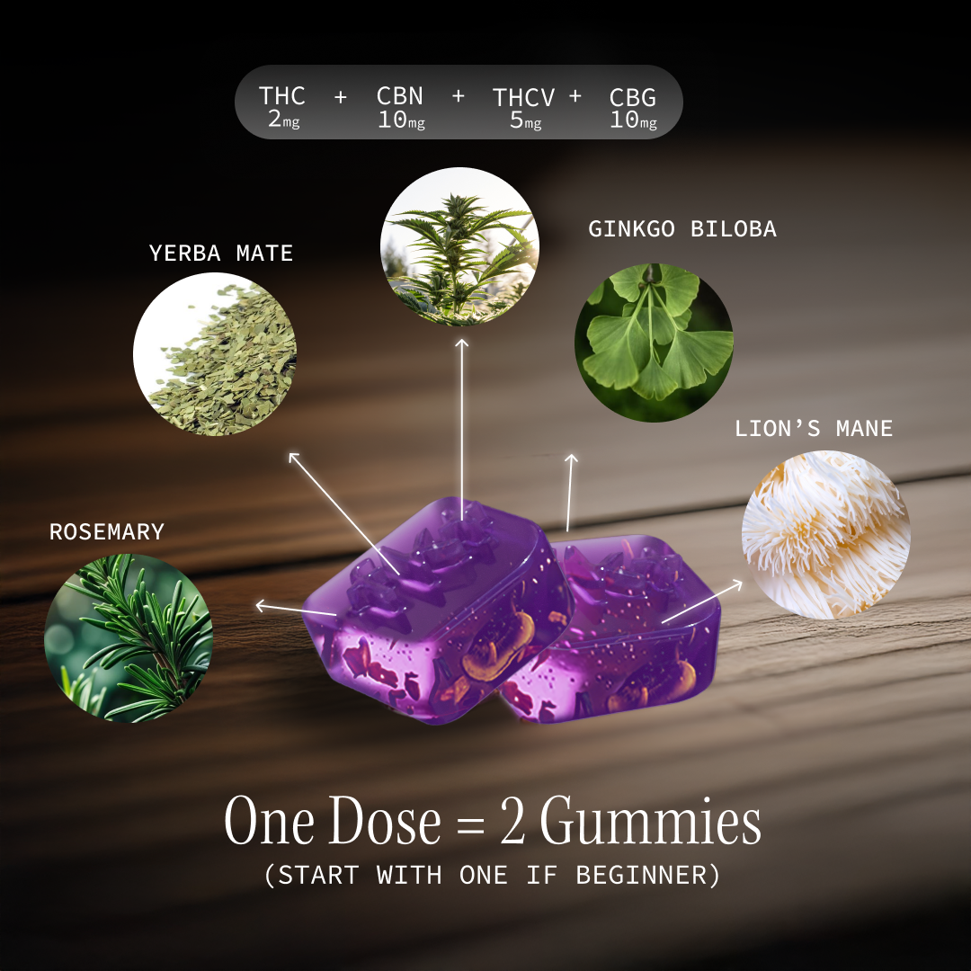 Focus Gummies