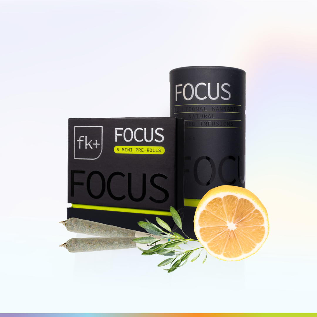 Focus Pre-Rolls