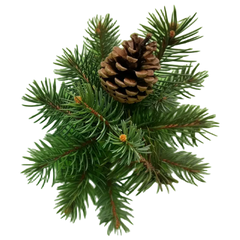 Pinene