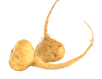 Maca Root