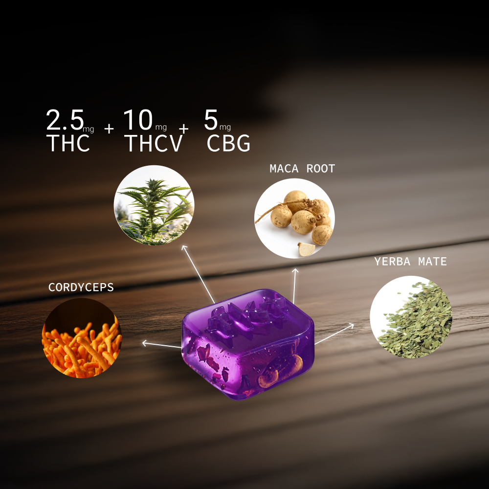 Energy + Focus Gummy Bundle