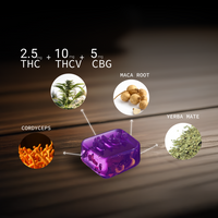Energy + Focus Gummy Bundle