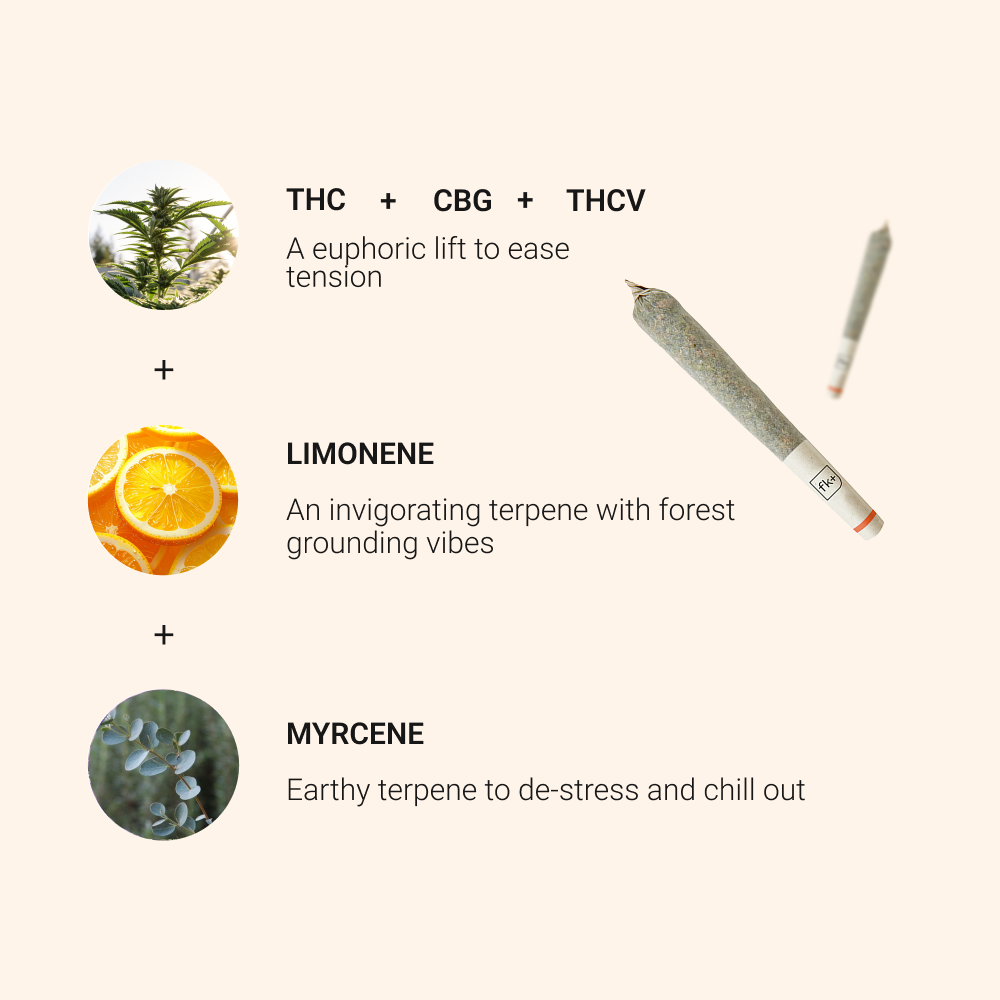 The Pre-Roll Collection