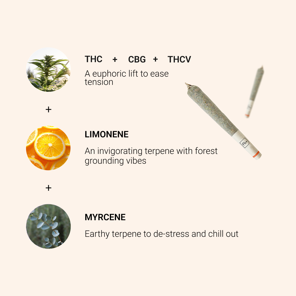 Energy Duo Bundle