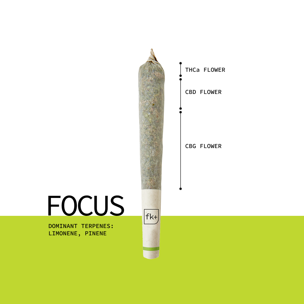 Focus Pre-Rolls