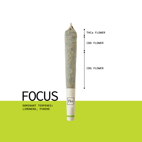 Find Your Flow + Free Mix Pack