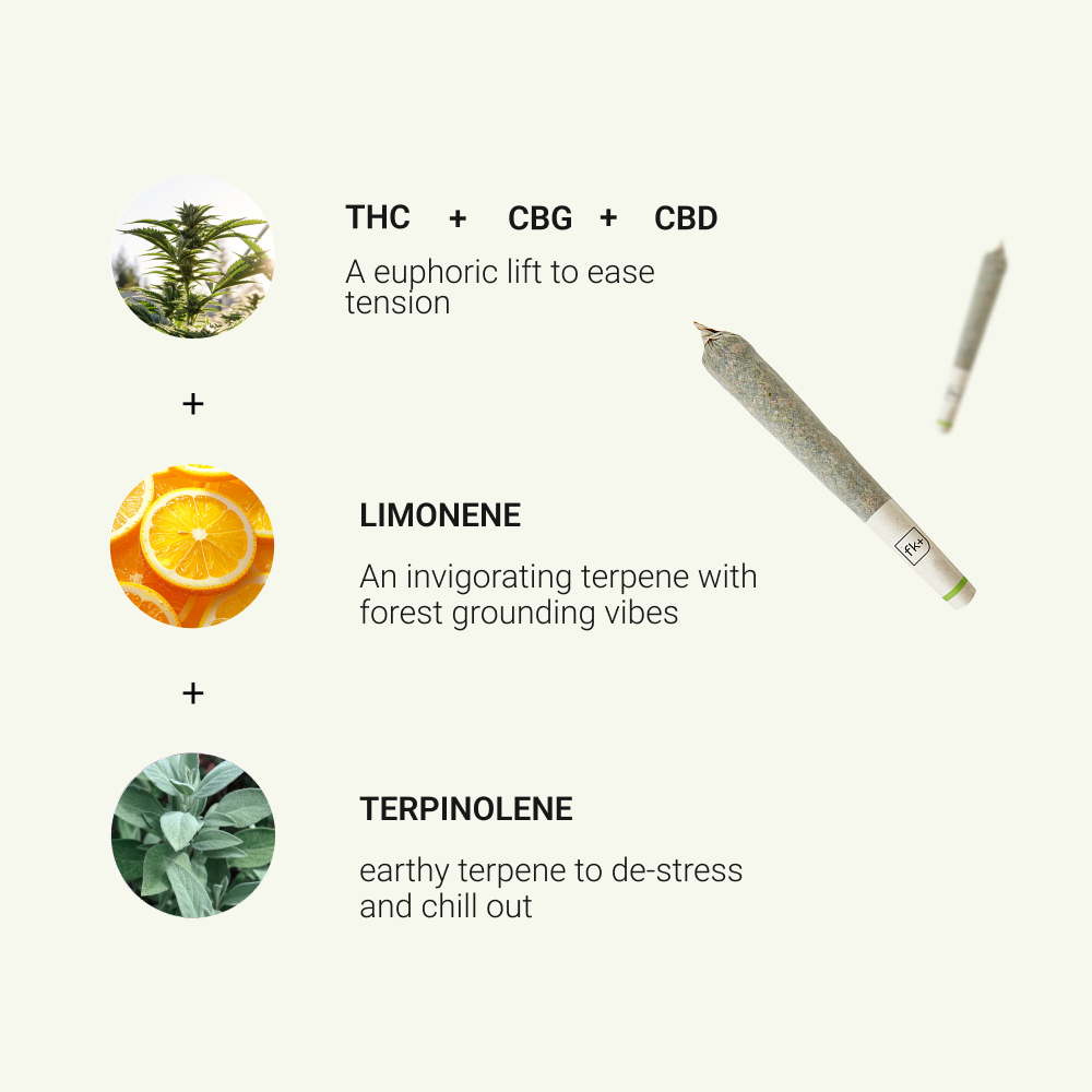 Energy + Focus Pre-Roll Bundle