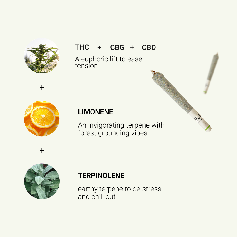 Focus + Relax Pre-Roll Bundle