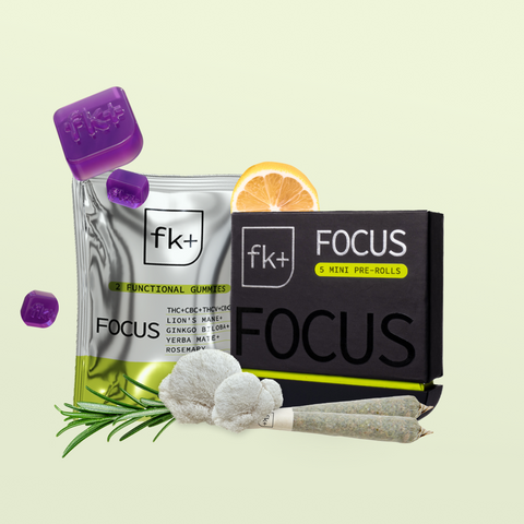 Focus Duo
