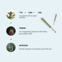 Focus + Relax Pre-Roll Bundle